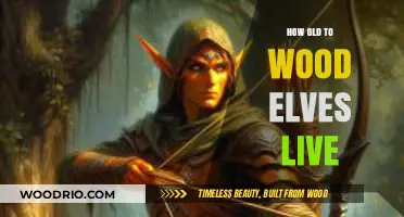 Exploring the Lifespan of Wood Elves: How Long Do They Live?