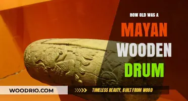 Unveiling the Age of a Mayan Wooden Drum: A Historical Mystery