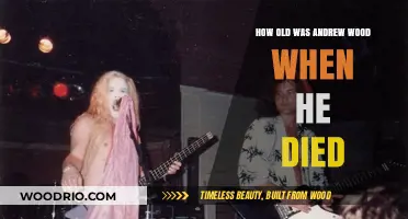 Andrew Wood's Tragic Death: Age and Legacy of the Grunge Icon