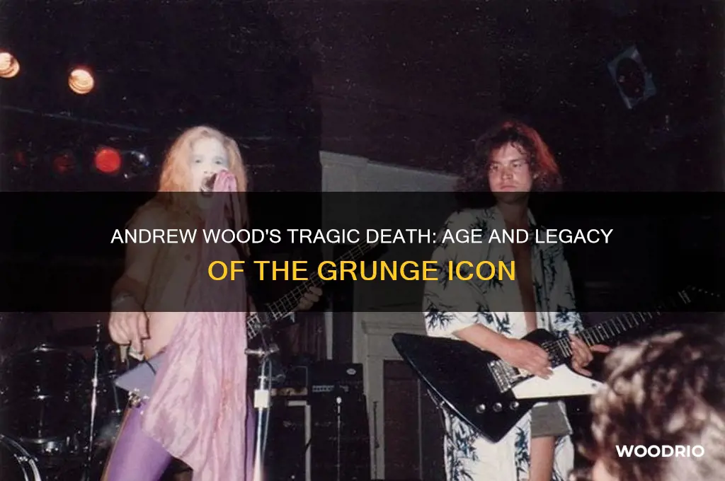how old was andrew wood when he died