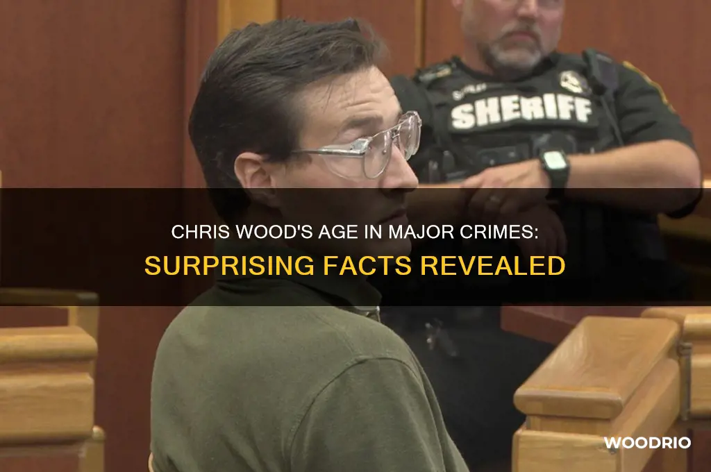 how old was chris wood in major crimes