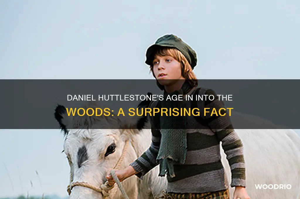 how old was daniel huttlestone in into the woods