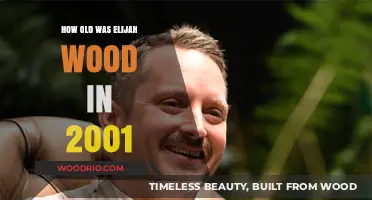 Elijah Wood's Age in 2001: A Surprising Revelation