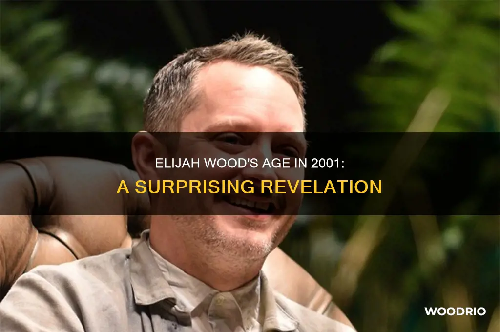 how old was elijah wood in 2001