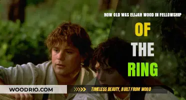 Elijah Wood's Age in 'Fellowship of the Ring' Revealed