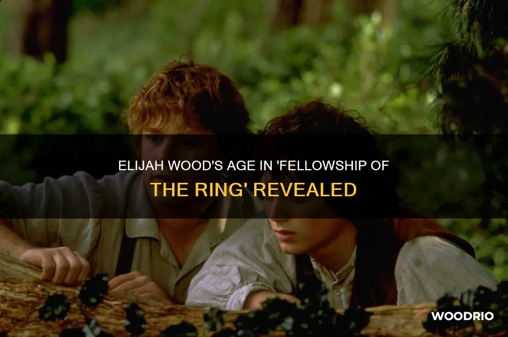 how old was elijah wood in fellowship of the ring
