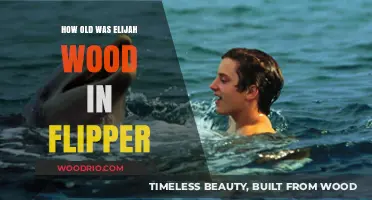 Elijah Wood's Age in Flipper: Surprising Facts Revealed