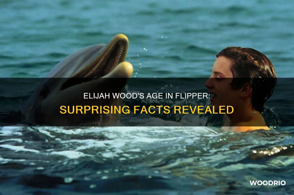 how old was elijah wood in flipper