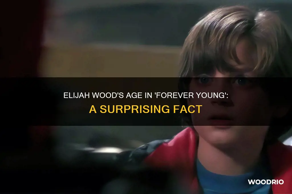 how old was elijah wood in forever young