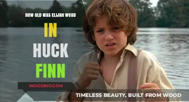 Elijah Wood's Age in Huck Finn: Surprising Facts Revealed