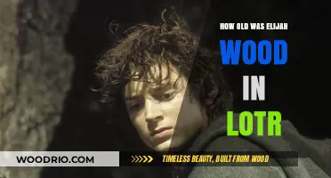 Elijah Wood's Age in Lord of the Rings: Surprising Facts