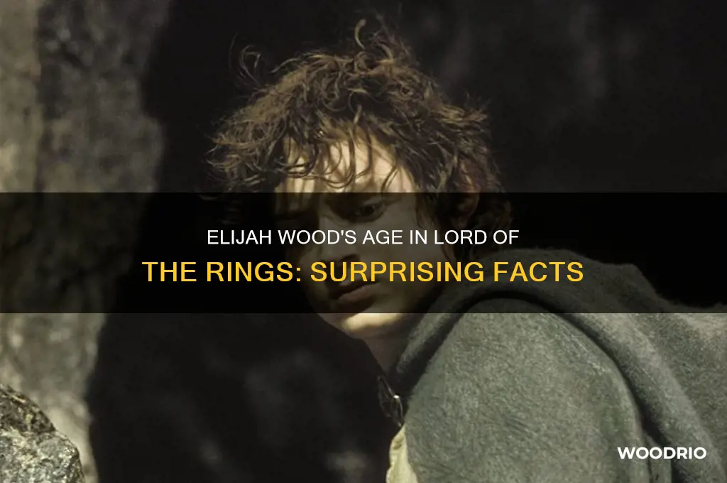 how old was elijah wood in lotr