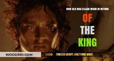 Elijah Wood's Age in 'Return of the King' Revealed