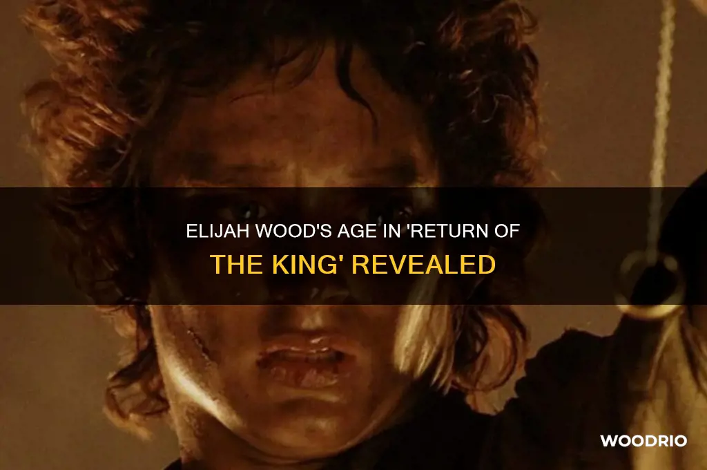 how old was elijah wood in return of the king