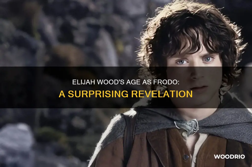 how old was elijah wood when he played frodo