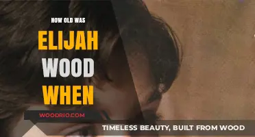 Elijah Wood's Age: Surprising Facts About His Early Career