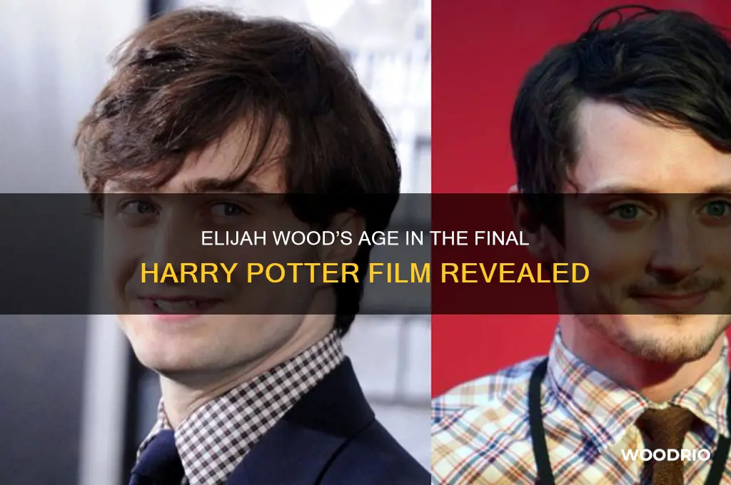 how old was elisiah wood in the last harry potter
