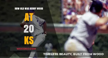 Kerry Wood's Age When He Struck Out 20 Batters