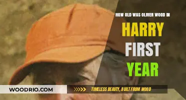 Oliver Wood's Age in Harry Potter's First Year Revealed