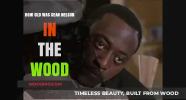 Sean Nelson's Age in 'The Wood': Unveiling the Actor's Timeline