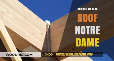 Notre Dame's Roof: Unveiling the Age and History of Its Ancient Wood