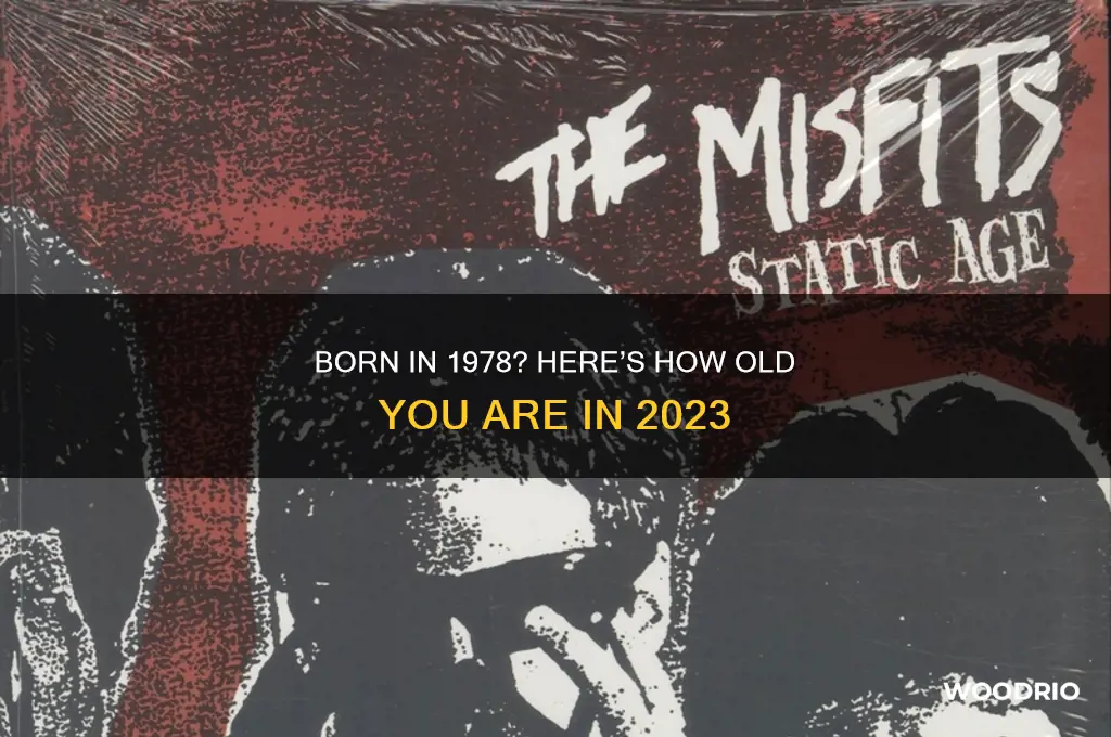 how old wood somebody be born in 1978