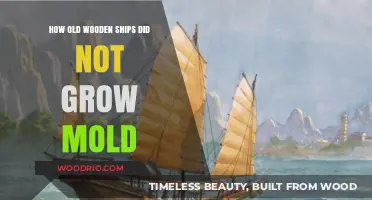 Ancient Wooden Ships' Secrets: Mold-Free Preservation Techniques Revealed