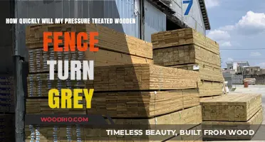 Weathering Timeline: Pressure-Treated Wood Fence Graying Process Explained