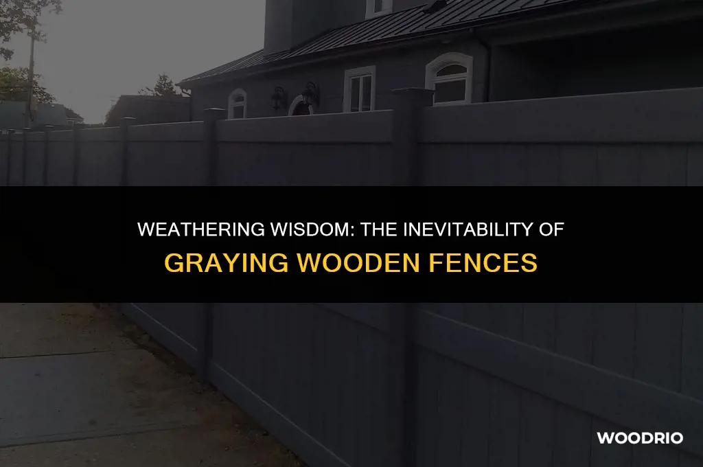 how quickly will my wooden fence turn grey