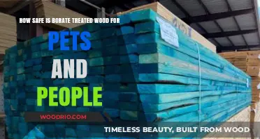 Exploring the Safety of Borate Treated Wood for Pets and People