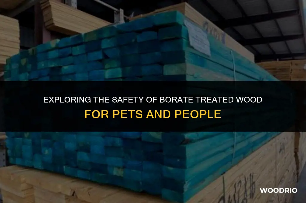 how safe is borate treated wood for pets and people