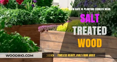 Gardening Concerns: The Safety of Planting Edibles Near Salt-Treated Wood