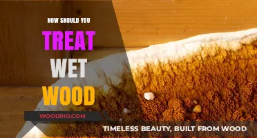 Treating Wet Wood: Essential Steps for Preservation and Use