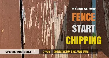 When Does Wood Fence Chipping Begin? A Timeline and Prevention Guide