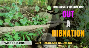 Predicting the Emergence: When Will Woodchucks Wake from Hibernation?