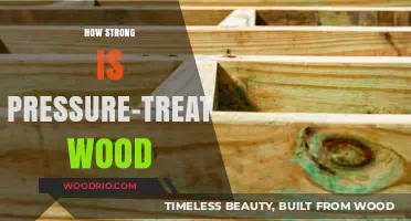 Durability Unveiled: The Strength of Pressure-Treated Wood Explained