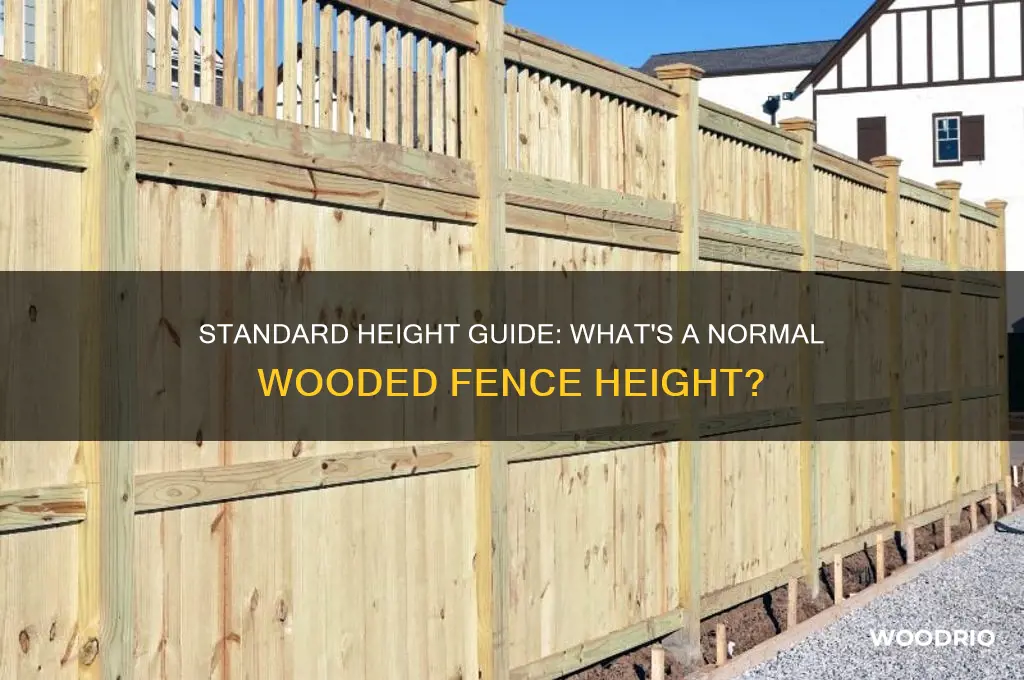 how tall is a normal wooded fence