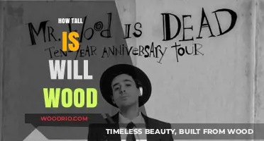 Exploring the Height of Will Wood: Facts and Figures Revealed