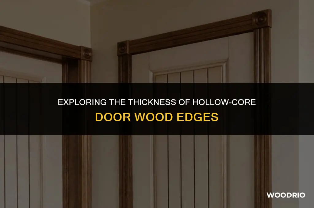 how thick is the wood edge of a hollow-core door