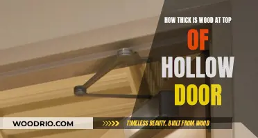 Exploring the Depths: A Guide to Hollow Door Thickness