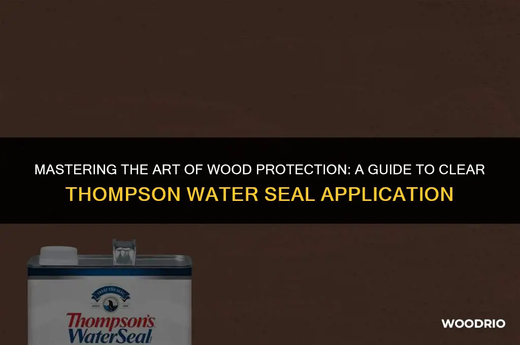 how to apply clear thompson water seal on wood