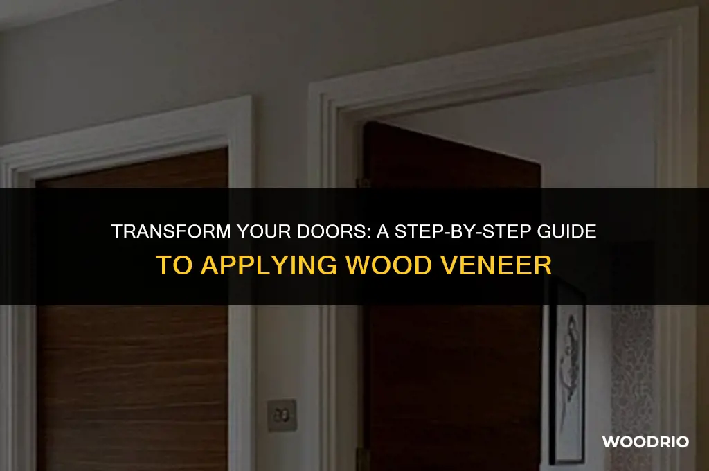 how to apply wood veneer to doors