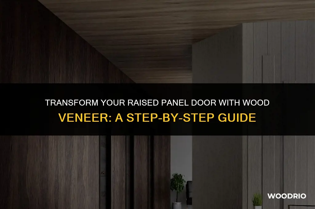 how to apply wood veneer to raised panel door