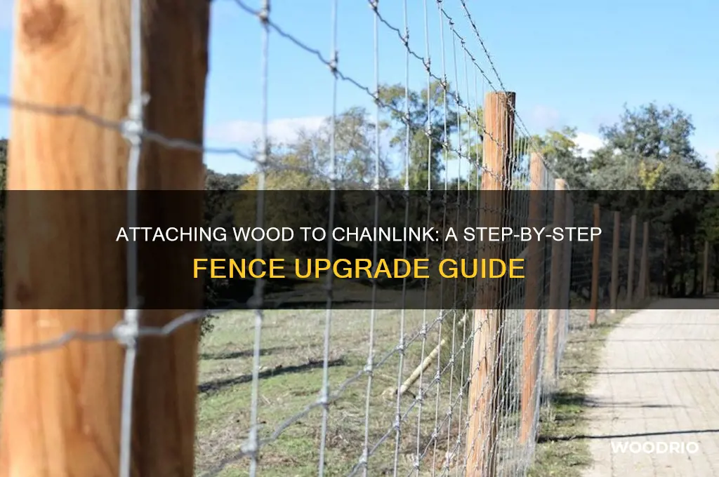 how to attach a wood fence to a chainlink fence