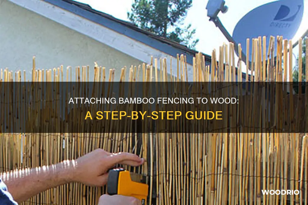 how to attach bamboo fencing to wood fence