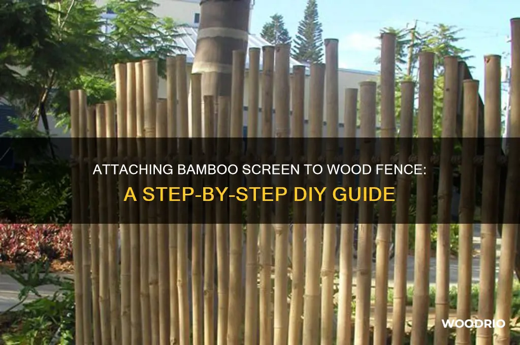 how to attach bamboo screen to wood fence