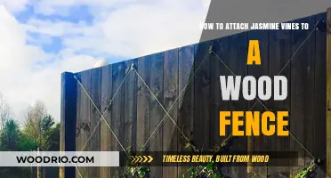 Attaching Jasmine Vines to Wood Fences: A Step-by-Step Guide