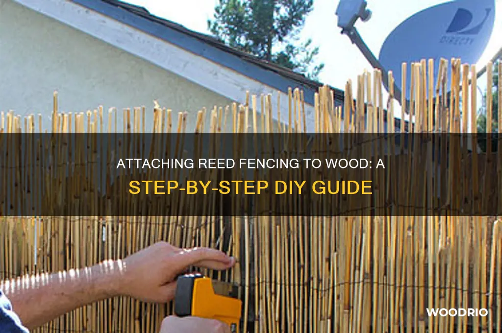 how to attach reed fencing to wood