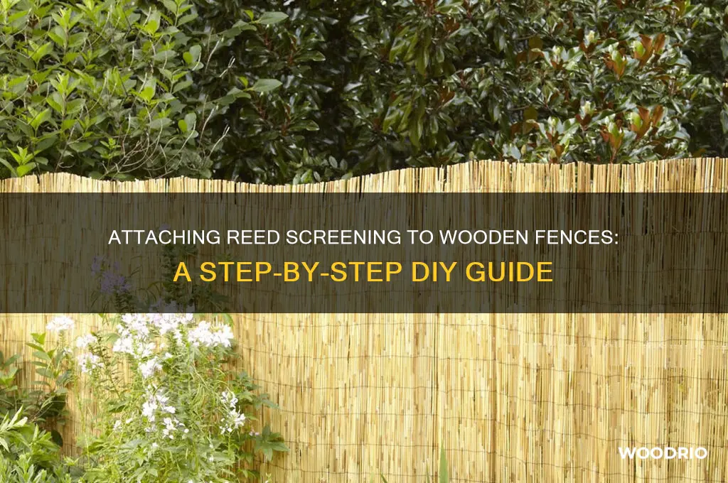 how to attach reed screening to a wooden fence