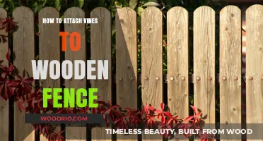 Easy Steps to Securely Attach Vines to Your Wooden Fence